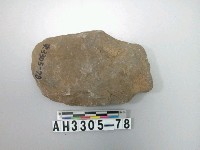 藏品(中型片狀舌刃打製石斧)的圖片